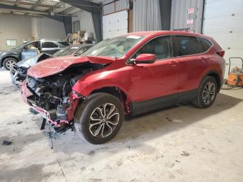  Salvage Honda Crv