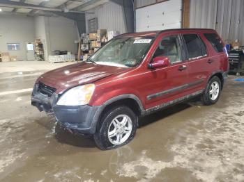  Salvage Honda Crv