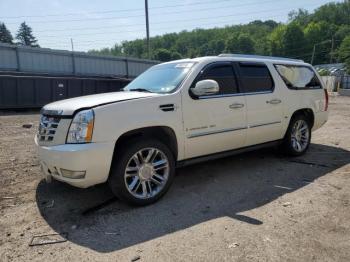  Salvage Cadillac Escalade