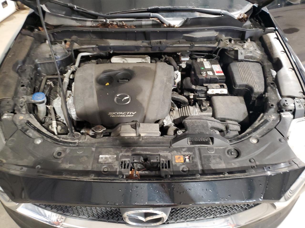 Mazda Cx Sport Image 11