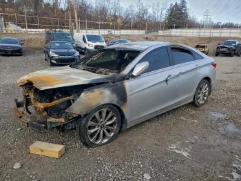  Salvage Hyundai SONATA